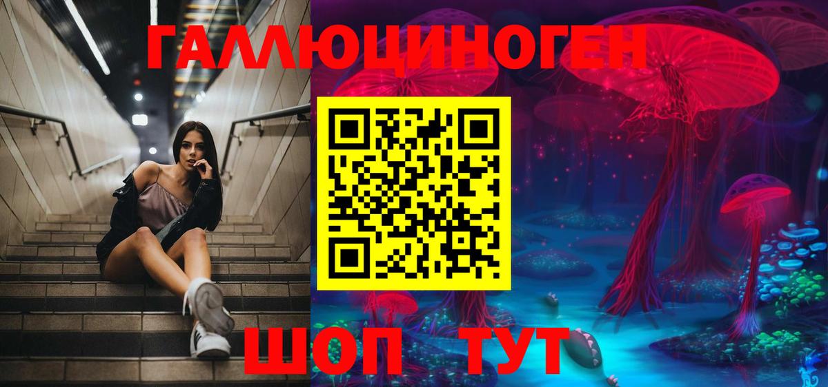 Галлюциногенные грибы Magic Shrooms  Псилоцибиновые грибы мицелий  цены наркотик  Вход с VPN  Тимашёвск 
